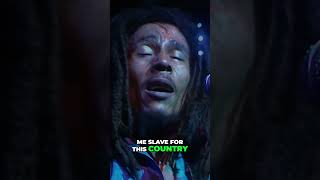 The Struggle for Justice  A Powerful Call to Awareness reggaemusic bobmarley reggaevibes [upl. by Eanyl]