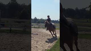 Tosia amp Paris Trening 22092024 equestrian equestriangirl horseriding [upl. by Kyla]