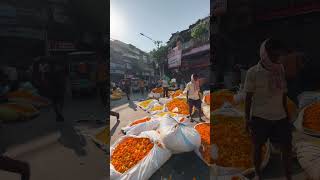 Delhi By Cycle🚲 delhibycycle cycletour lalquila olddelhi puranidelhi youtubeshorts [upl. by Pattin209]