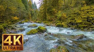 Beautiful Nature Video in 4K Ultra HD  Autumn River Sounds  5 Hours Long [upl. by Southworth]