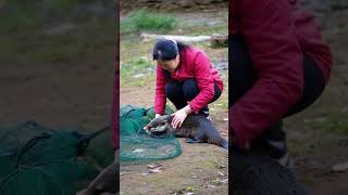 Rescuing a Helpless Otter A Heartwarming Story of Kindness [upl. by Gresham339]