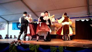 Schwabenfest Donauschwäbische Tanzgruppe PilisvörösvarWerischwar [upl. by Gussy537]