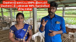 Stall fed goat farming is profitable in Tamilnadu Why goat farming is failure [upl. by Ahseyi]