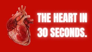 Basics Of The Heart In 30 Seconds [upl. by Enimassej207]