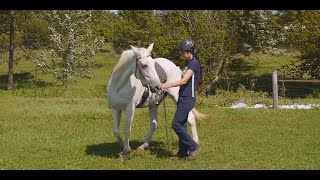 Simple groundwork to help a horse relax [upl. by Enrobso]