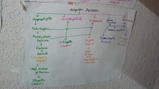 Day 1 revision class 11chapter 3 animal Kingdom introduction basic classification part 1 [upl. by Nivlam988]