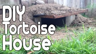 Tortoise Enclosure  DIY Tortoise House [upl. by Darcia816]