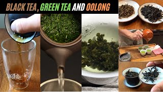 Green Tea vs Black Tea vs Oolong Tea  3 Different Tea Types Explained [upl. by Elder]