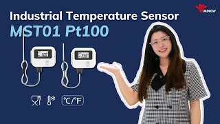 MST01 PT100 Temperature Sensor More options higher precision [upl. by Ezaria32]