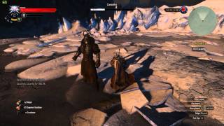 Witcher 3  Fastest Caranthir Boss Fight No Damage Taken [upl. by Ellerad]