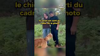 Ce mari demande sa femme en mariage avec la complicité de son chien [upl. by Eldnik]