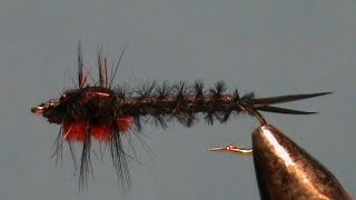 Fly Tying a Helgramite with Jim Misiura [upl. by Are39]