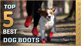 Top 5 Best Dog Boots Review in 2023 [upl. by Drofkcor]