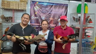 2nd DAY International Gamefowl Festival 2024 [upl. by Claretta]