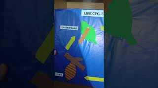 Life cycle of butterfly making idea for biology labart painting love craft paint diy shorts [upl. by Shult]