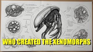 The 6 Different Xenomorph Origins Who Created Them [upl. by Bound247]