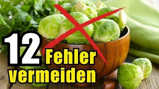 Vermeide diese 7 fatalen Fehler beim Rosenkohl – so wird er perfekt [upl. by Janenna]