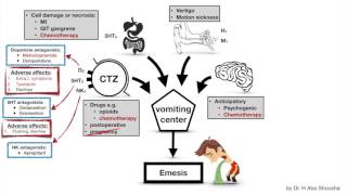 Anti emetics  CH8  L2  Pharmacology  Gastrointestinal drugs  DPharm second year [upl. by Durrace]