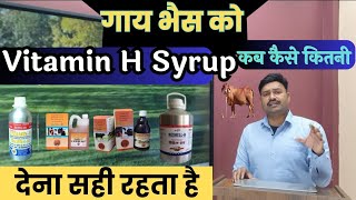 गाय भैस को Vitamin H Syrup कब कैसे कितनी देना सही रहता है vitamin h buffalo cow ko kab dena chahiye [upl. by Yra]