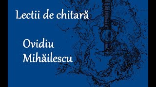 Ovidiu Mihailescu Lectie 5 Melodia Lili [upl. by Adil]