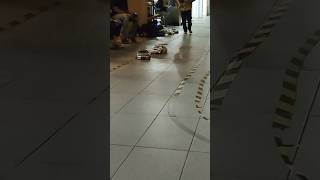 Main RC Drift track outdoor rc drift car mobil shorts shortsvideo fyp [upl. by Ashia]