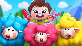 Little Sheeps First Haircut  Baa Baa Black Sheep  Nursery Rhymes amp Kids Songs  BabyBus [upl. by Yekciv180]