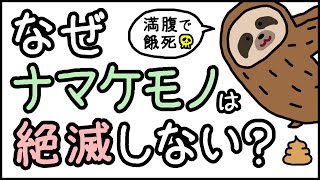 【コスパ最強説】小学生でもわかる・ナマケモノはなぜ絶滅しないのか？【科学・ざっくり解説】 [upl. by Aneehsak]