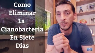 🔵 Como Eliminar La Cianobacteria De Nuestro Acuario En 7 Días Acuarios MB [upl. by Susumu11]