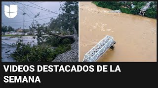 Huracán Francine azota Louisiana y puente colapsa con varios autos videos destacados de la semana [upl. by Laurice]