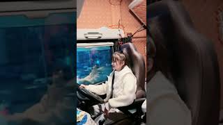 mooie vrouwelijke chauffeur dailyvlog car driving truck girl truckgirl chinese ladydriver [upl. by Releyks]