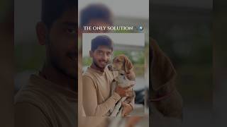 🫶🐾🌍viralvideo dogsong love doglover instagram reels viralshorts song music tamil [upl. by Tillinger]