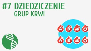 Dziedziczenie grup krwi 7  Genetyka [upl. by Goran76]