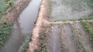 The DroughtProof Farming Techniques of the Future  watering of crop  shahid official voice [upl. by Kovar]