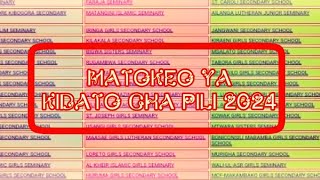 Angalia Matokeo Ya KIDATO CHA PILI 20242025 [upl. by Dnaltroc285]