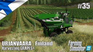 Harvesting GRAPES  35 URJANVAARA  Finland  FS22  PlayStation 5 [upl. by Ttik]