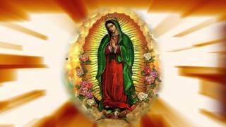 La Guadalupana  Canción de la Virgen de Guadalupe [upl. by Oicatsana]