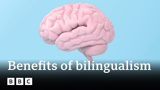 Is being bilingual good for you brain  BBC Ideas [upl. by Florio]