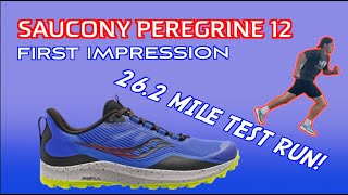 Saucony Peregrine 12  Marathon Test Run First Impression [upl. by Adnerak96]