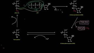 One Carbon Transfers Part 5 of 5  SAdenosylmethionine SAM [upl. by Niawtna588]