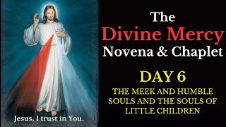 Divine Mercy Novena amp Chaplet  Day 6 [upl. by Heman937]