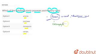 Which of the following plants posseses assimilatory roots [upl. by Rem339]