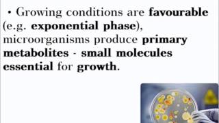 Biotechnology  ALevel A2 Biology Revision [upl. by Nodnarg]