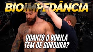 QUANTO O GORILA TEM DE GORDURA  FI LINARES FEZ A BIOIMPEDÂNCIA [upl. by Zechariah530]