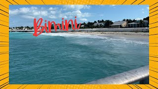 Discover Bimini Tram Tour to Beach Club tramtouratbimini [upl. by Amarillis]