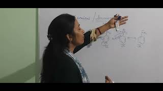 Basicity of Arylamines class 12 chemistry chapter Amines [upl. by Ortrud]