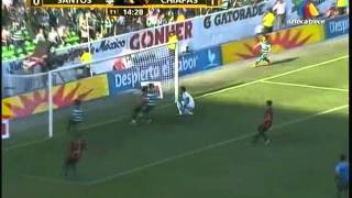 Santos Campeón Clausura 2012 Todos los Goles 33 [upl. by Eoin]