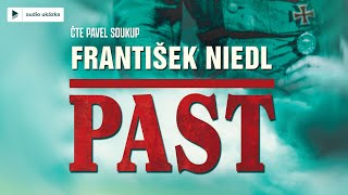 František Niedl  Past  Audiokniha [upl. by Naashar]