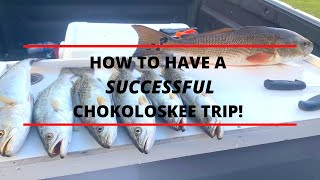 Chokoloskee fishing Tips and advice for a great day of fishing [upl. by Ame]