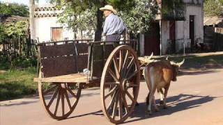 Julio Sosa  Por el camino adelante [upl. by Florance]