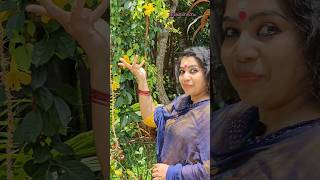 നമസ്കാരം കൂട്ടുകാരെshorts shortsvideo [upl. by Eatnuhs]